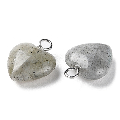 Natural Labradorite Pendants G-E603-01P-08-1