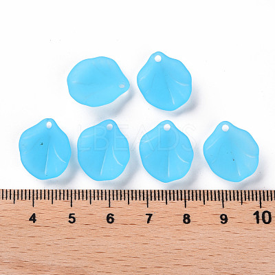 Transparent Frosted Acrylic Pendants MACR-S371-02A-755-1