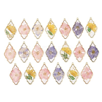 Alloy Resin Pendants RE-CBA591C-02G-1