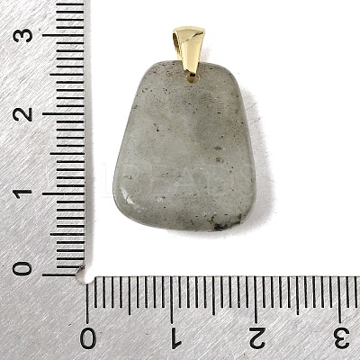 Natural Labradorite Pendants G-C282-03F-1