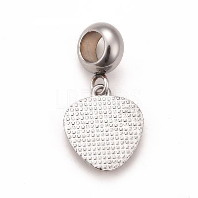 304 Stainless Steel European Dangle Charms STAS-F278-02P-1