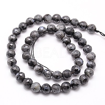 Natural Larvikite Beads Strands G-G736-01-8mm-1