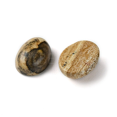Natural Picture Jasper Cabochons G-A094-01B-48-1