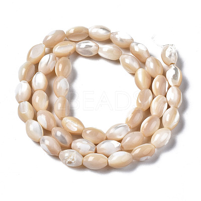 Natural Trochid Shell/Trochus Shell Beads Strands SSHEL-S266-021B-02-1
