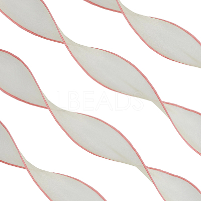 Organza Ribbons AJEW-CY0002-42C-1
