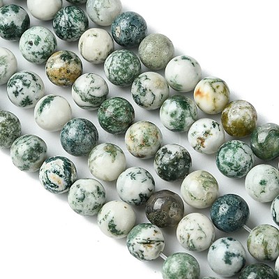 Natural Tree Agate Round Gemstone Beads Strands G-R255-10mm-1