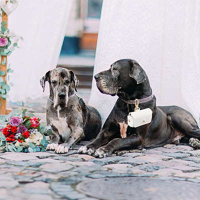 2Pcs 2 Colors PU Leather Pet Collar Couple Ring Boxes AJEW-DR0001-23-1