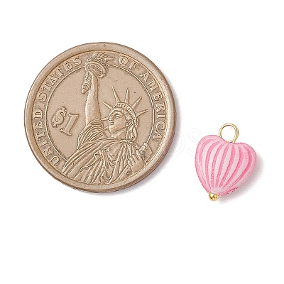 Craft Style Acrylic Pendants PALLOY-JF04253-01-1