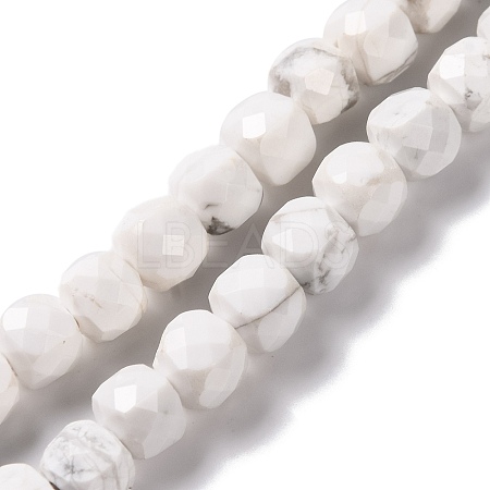 Natural Howlite Beads Strands G-G001-B02-06-1