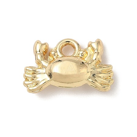 Alloy Charms FIND-Z101-04G-04-1