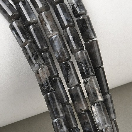Natural Larvikite Beads Strands G-B091-A20-01-1