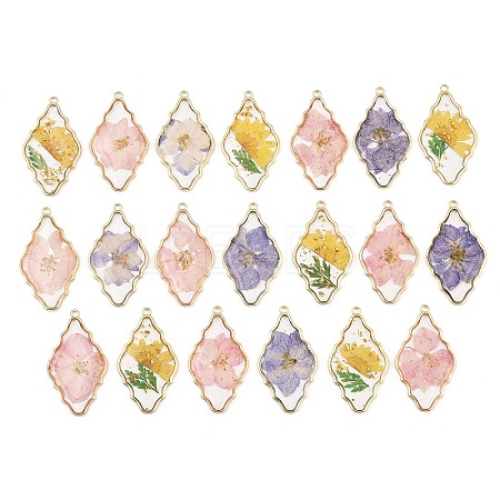 Alloy Resin Pendants RE-CBA591C-02G-1
