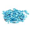 Natural Sea Shell Beads SSHEL-Q299-017A-2
