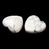 Natural Howlite Cabochons G-F776-02A-24-2