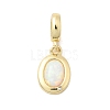Brass Micro Pave Clear Cubic Zirconia Pendants KK-H529-35G-1
