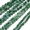 Natural Malaysia Jade Beads Strands G-L645-C01-12mm-03-2