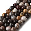 Natural Mexico Crazy Agate Beads Strands X-G-L615-A01-01-8