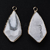 Natural Howlite Charms G-Q998-029C-3