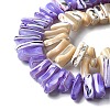 Dyed Natural Trochus Shell Beads Strands SSHEL-C013-09-3