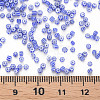 12/0 Opaque Glass Seed Beads SEED-T006-01D-D03-5