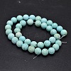Natural Howlite Beads Strands TURQ-P027-17-4mm-2