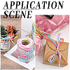 Segment Dyed Raffia Paper Cords for DIY Craft OCOR-WH20020-27C-6