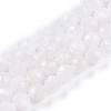Natural Rainbow Moonstone Beads Strands G-S345-8mm-36-2
