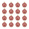 Golden Plated Alloy Enamel Charms ENAM-S118-08H-2