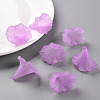 Transparent Acrylic Beads X-BSF796-C08-8