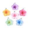 Opaque Resin Pendants X-RESI-T056-03A-1