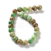 Dyed Natural Regalite/Imperial Jasper/Sea Sediment Jasper Beads Strands G-B124-C01-12-3