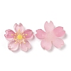 Luminous Resin Cabochons RESI-G030-01B-3