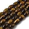 Natural Tiger Eye Beads Strands X-G-A275-A01-8x12mm-2