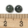 Natural Kambaba Jasper Cabochons G-Q173-01B-22-3