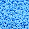 TOHO 6/0 Round Beads SEED-XTR06-0043F-2