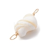 Natural Conch Shell Connector Charms PALLOY-JF02812-02-4