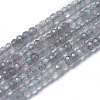 Natural Labradorite Beads Strands X-G-F596-07-1