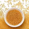 TOHO 8/0 Round Beads SEED-XTR08-0002A-2
