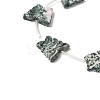 Natural Green Spot Jasper Beads Strands G-B136-A09-3