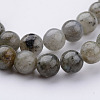 Natural Labradorite Bead Strands G-K152-03-8mm-2