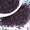 MIYUKI Delica Beads X-SEED-J020-DB0611-1