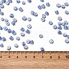 8/0 Opaque Colours Seep Glass Seed Beads X-SEED-F003-04B-02-4