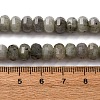 Natural Labradorite Beads Strands G-P587-D13-02-5