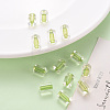 Transparent Acrylic Beads TACR-S154-17A-83-6