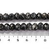 Natural Larvikite Beads Strands G-K380-A46-01-5