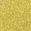 MIYUKI Delica Beads SEED-MY11-DB0171-3