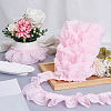 10 Yards Polyester Lace Ribbon OCOR-GF0006-25C-4