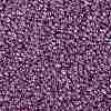 TOHO 15/0 Round Beads SEED-JPTR15-0205-2