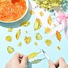 50G Transparent Acrylic Pendants TACR-CJC0005-05-5