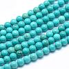 Natural Magnesite Round Beads Strands TURQ-G148-03-4mm-1